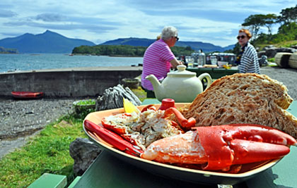 Photo of a Seafood Lunch on Ulva